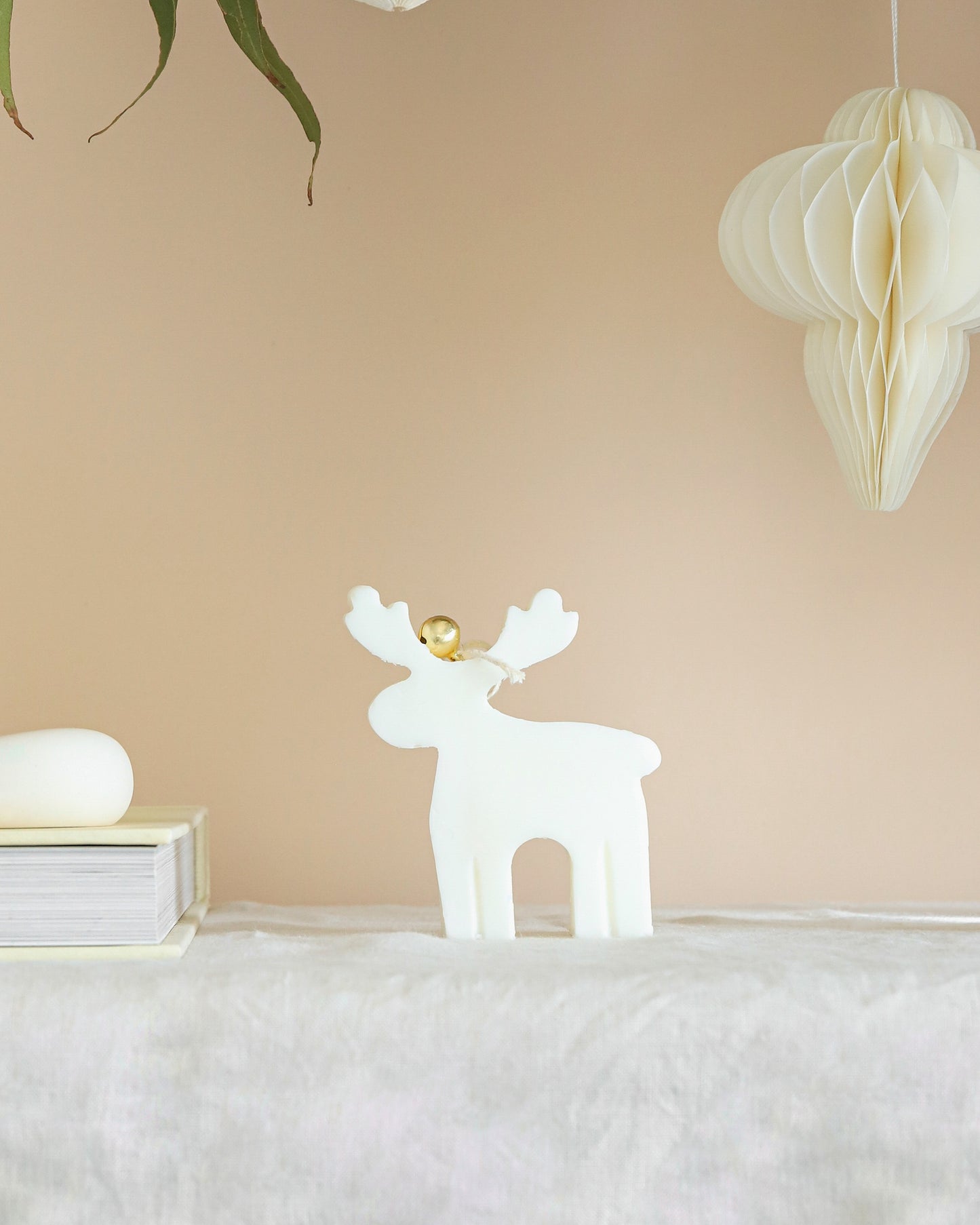 Reindeer